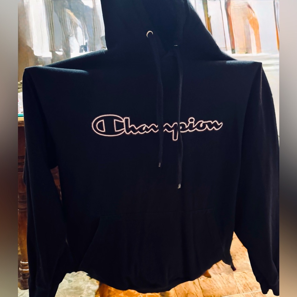 ❤️❤️NWOT Champion Men’s 2XL Hoodie